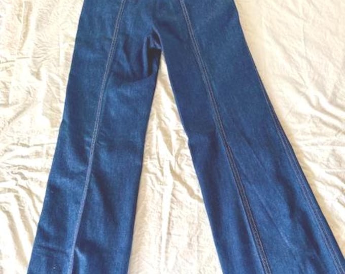 RARE Vintage 1970s Levis Panatela High Waisted Buckle Back Denim Flare Slacks 29 X 33