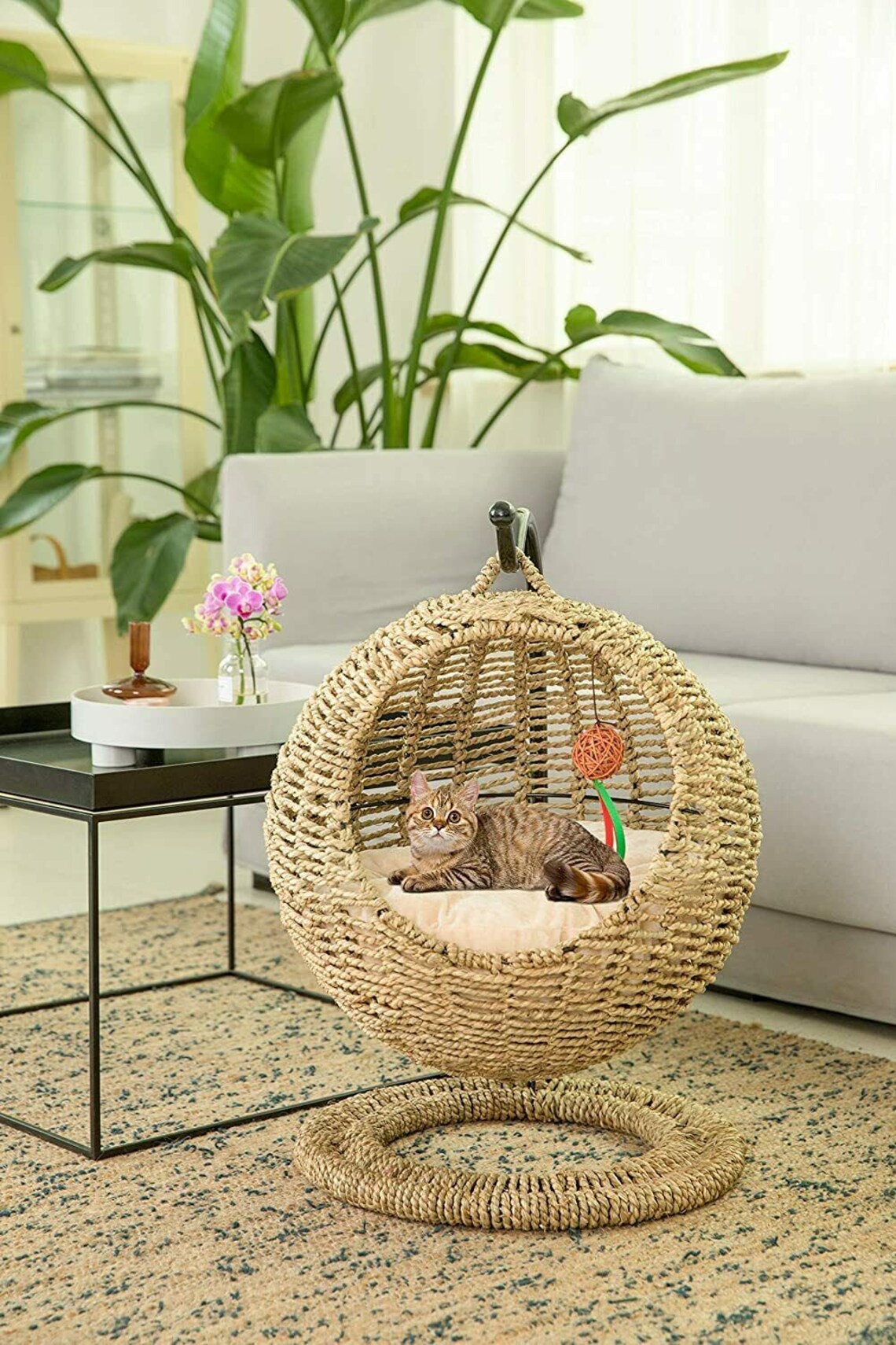 Wicker Bed Basket Swinging Pet House Couch Nest for Small Dog Etsy