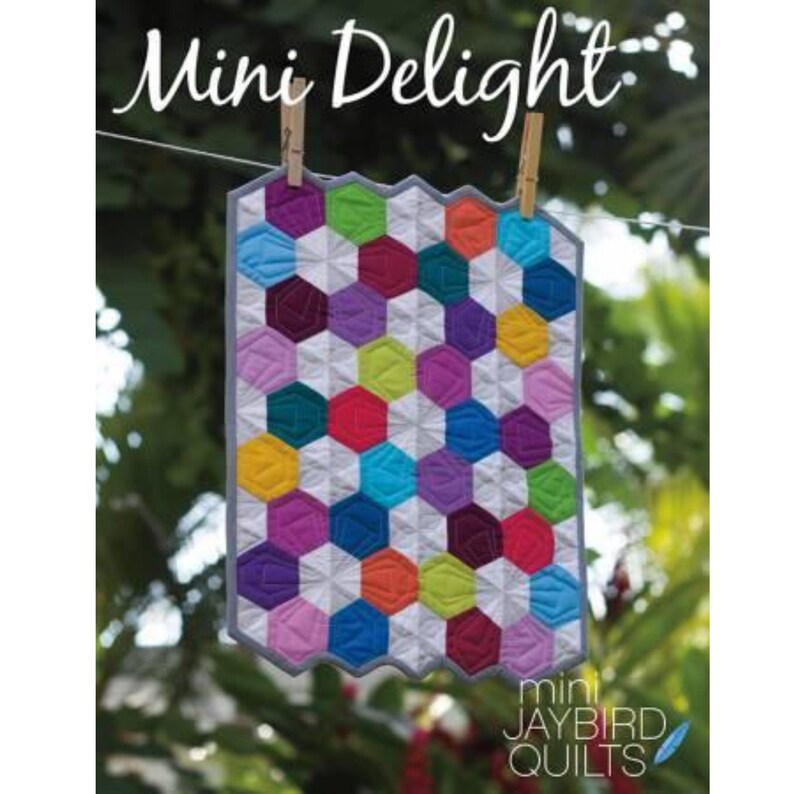 Mini Delight Mini Quilt Jaybird Quilts Julie Herman Etsy