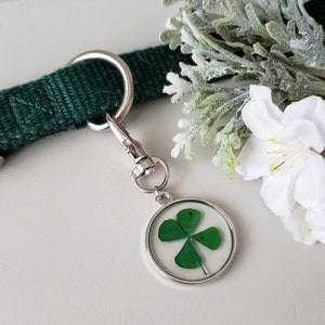Natural Four Leaf Clover Dog Collar Charm, Lucky Charm Clip On Collar Tag, Green Dog Collar Charm, Cat Collar Lucky Charm, Green Collar Tag