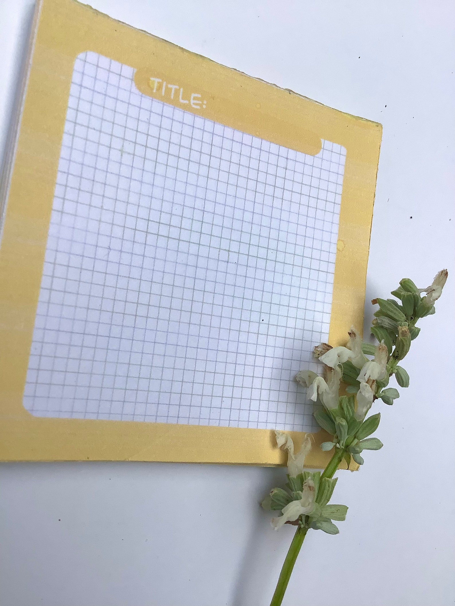 Yellow Memo Padmemo Padyellow Pad Etsy