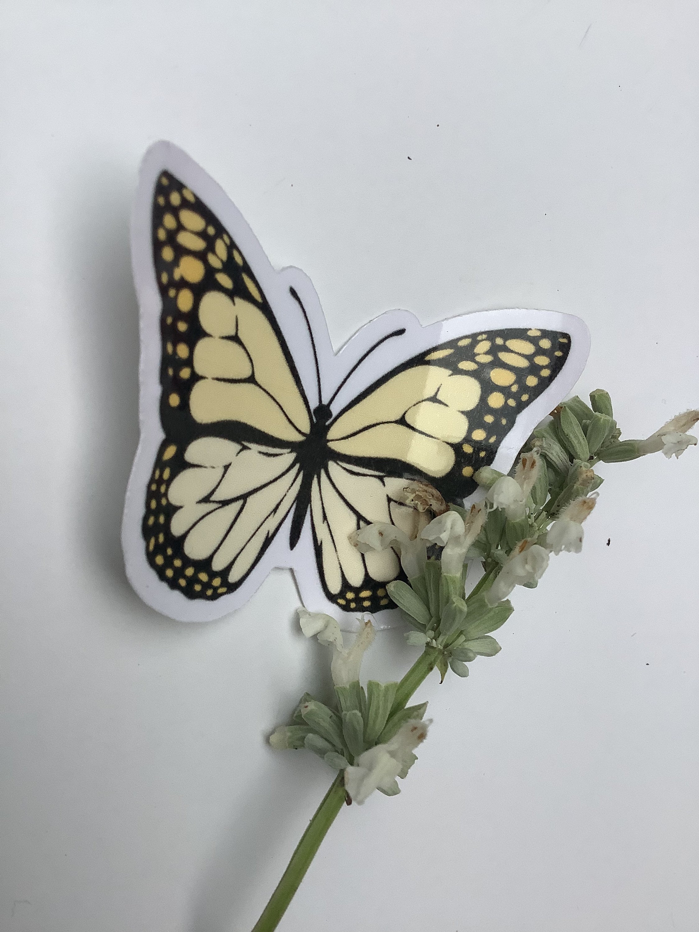 Yellow butterfly sticker Yellow butterfly yellow sticker Etsy