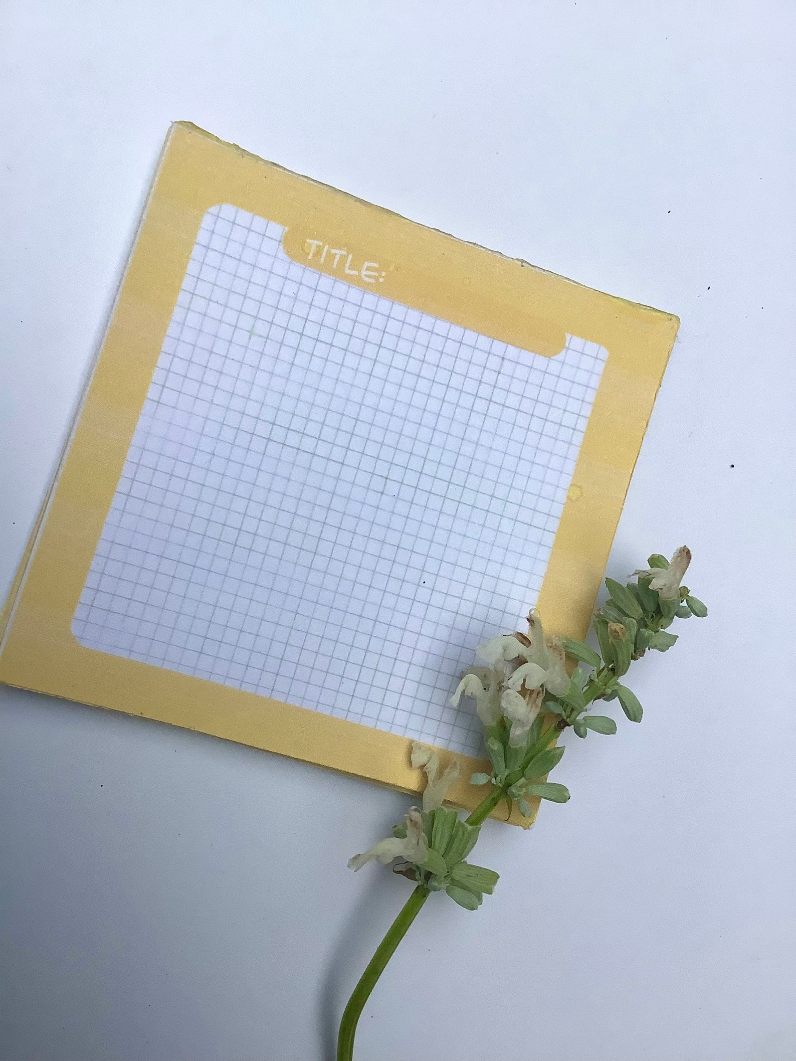 Yellow Memo Padmemo Padyellow Pad Etsy