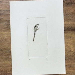 The Long Tailed Tit | Garden Birds | Home | Drypoint Print | A5 | Handprinted
