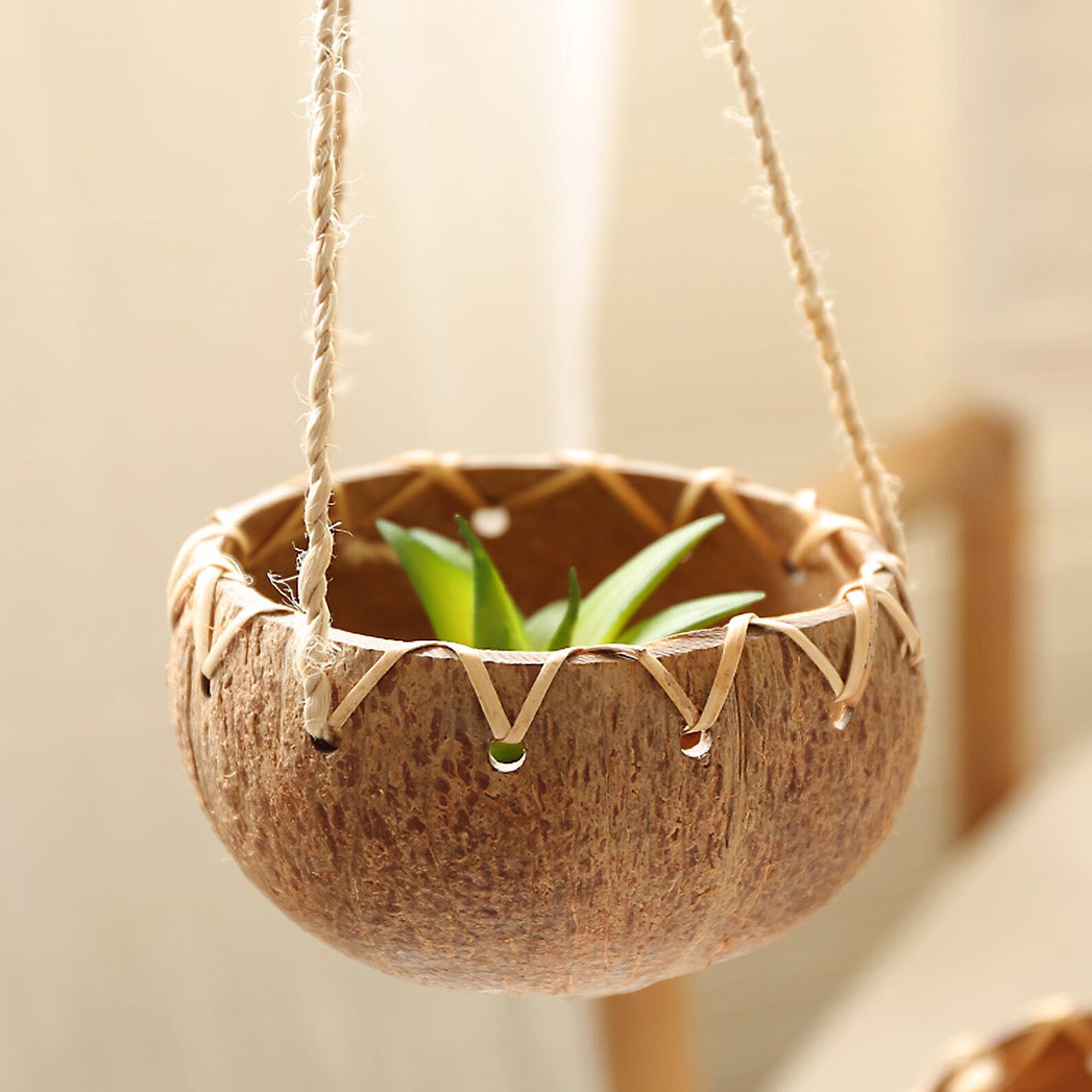 Coconut shell Macrame plant hanger Rope Plant Stand Indoor Etsy