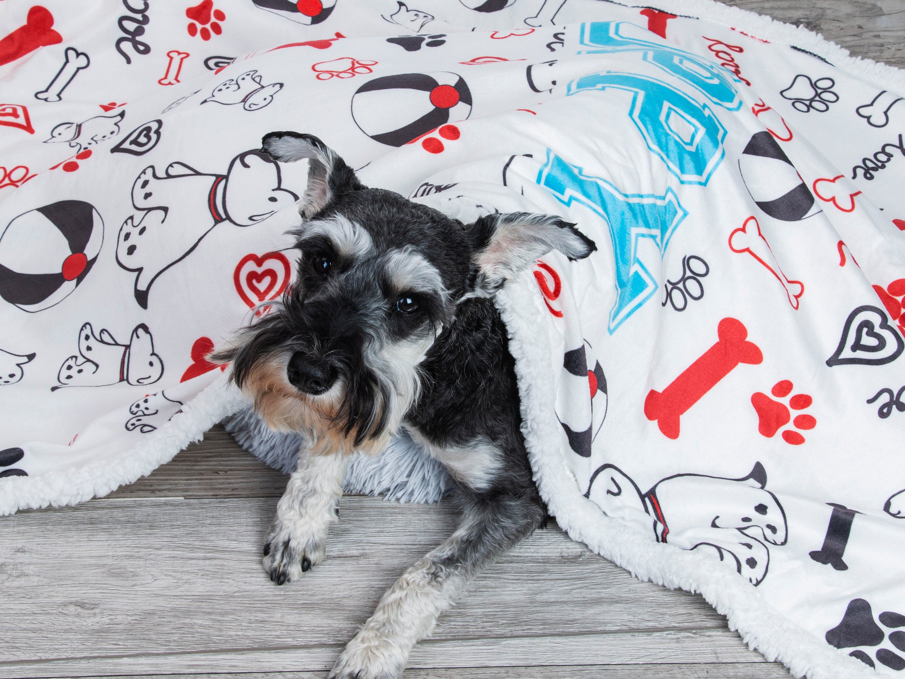 Dog Blanket Personalized Soft Blanket for Pet Pet Blanket Pet Etsy