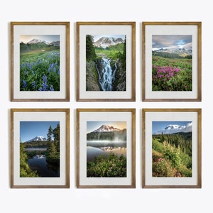 Mount Rainier Photo Print, National Park Flower Photography, National Park Nature Photo, Reflection Lake Photography, Nature Gallery Wall