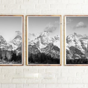 May include: Three black and white photographs of snow-capped mountains in a wooden frame. The mountains are in the background and there are trees in the foreground.