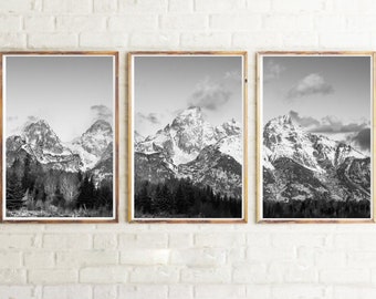 May include: Three black and white photographs of snow-capped mountains in a wooden frame. The mountains are in the background and there are trees in the foreground.