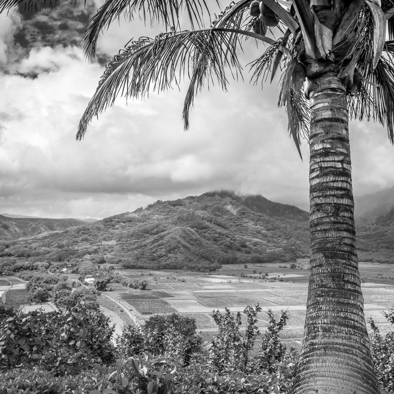 Kauai Island Galleriewand, Hawaii Fotodrucke, Hawaii Reise-Fotografie, Hawaii Poster, Kauai Island Fotografie, Hawaiianische Landschaft, Kunst Bild 8