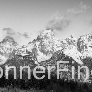 May include: A black and white panoramic photograph of a mountain range with snow-capped peaks. The mountains are in the background, and there are trees in the foreground. The sky is cloudy.