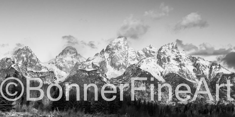 May include: A black and white panoramic photograph of a mountain range with snow-capped peaks. The mountains are in the background, and there are trees in the foreground. The sky is cloudy.