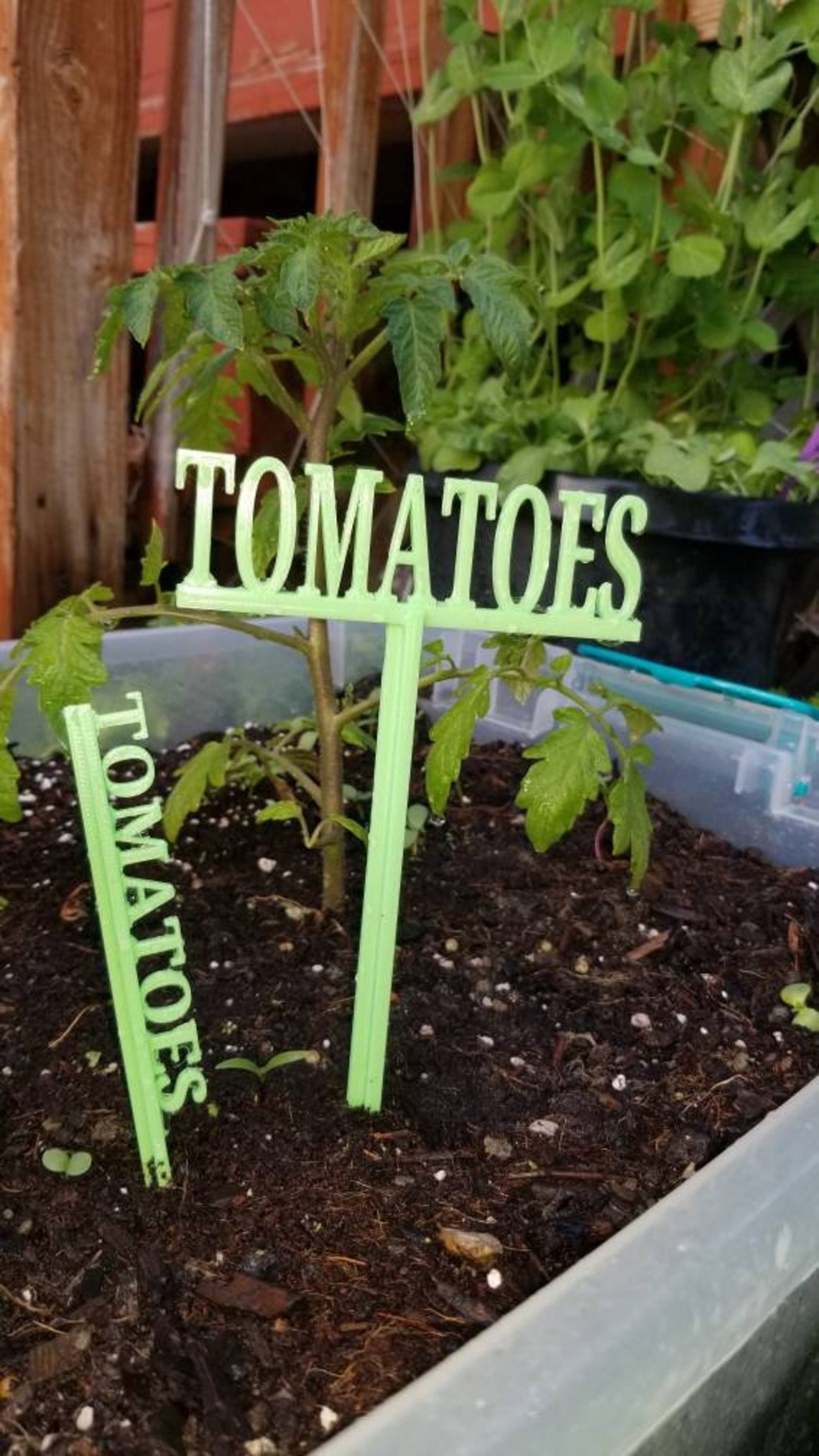 6.5 Custom Plant Labels Reusable Plant Stakes Etsy