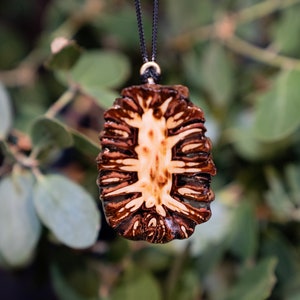 Green Opal Sequoia Pine Cone Pendant image 2