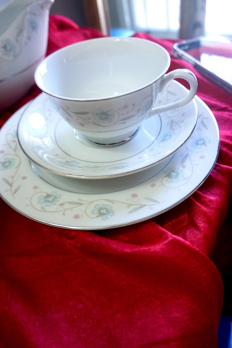English Garden Platinum Fine China 1221 Japan Etsy