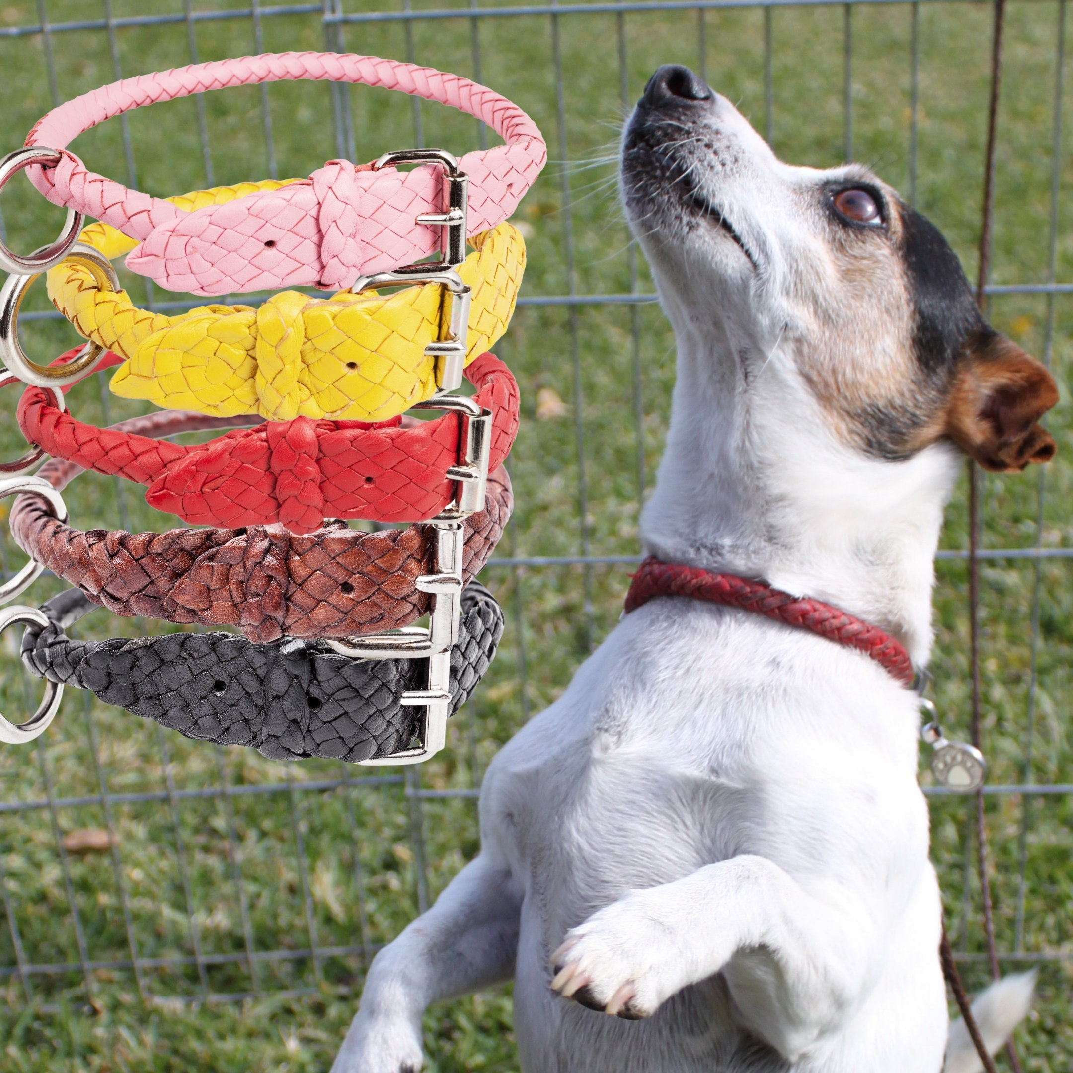 kangaroo leather dog collar