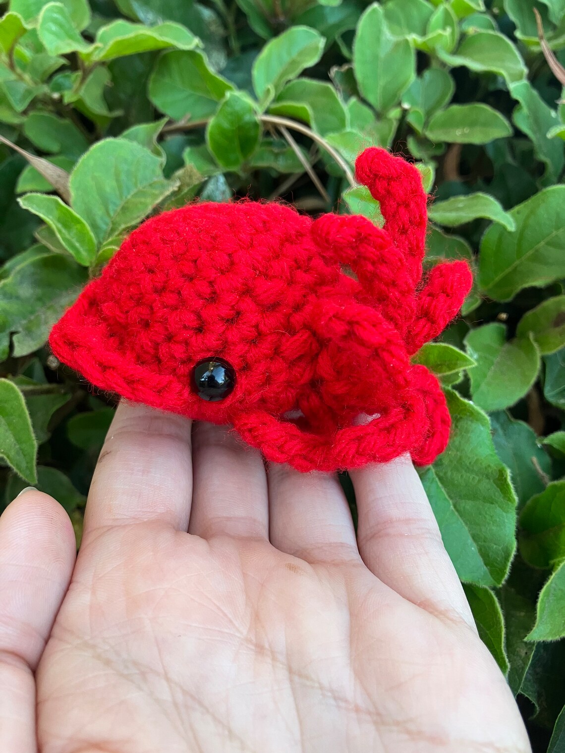 Cuddly Cuttlefish PATTERN ONLY Crochet - Etsy