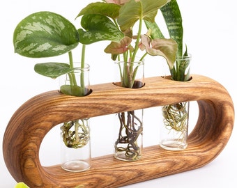 Ovate propagation stand/station - handcrafted solid hardwood modern propagation station for plant cuttings - no stain - natural finish