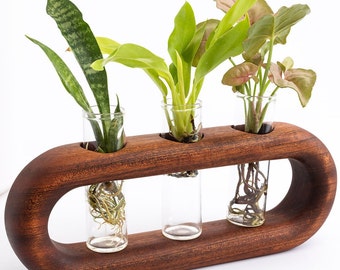 Ovate propagation stand/station - handcrafted solid hardwood modern propagation station for plant cuttings - no stain - natural finish