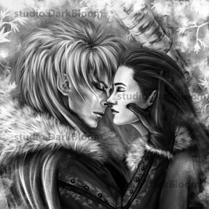 Snowy Embrace, print