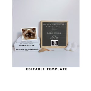 Anuncio de embarazo digital de gato divertido, tema de gato, anuncio de embarazo en redes sociales, plantilla editable, tablero de cartas neutrales de género