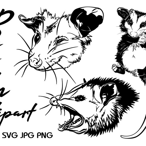 Possum Svg, Png, Eps, Jpg, Opossum, Vector animal, Card, Laser Cut, to print, Cricut files