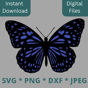 Butterfly SVG, Butterfly Vector Clipart, Butterflies PNG, Cricut Stencil for T-shirt, Layered Cut Files, Tumbler Designs for Her, Wall Decor