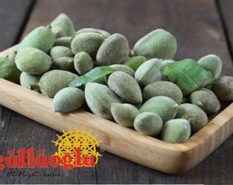 Gulluoglu Fresh Green Raw Almond, 0.55lb - 250gr (Pack of 1), daily fresh shipment from Gulluoglu Shop at the Spice Bazaar in Istanbul