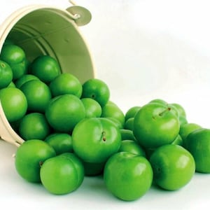 Gulluoglu Green Plum, 10 pieces, daily fresh shipment from Gulluoglu Shop at the Spice Bazaar in Istanbul