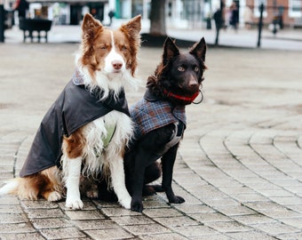 Waxed Cotton Reversible Dog Coat - Foragers Brown