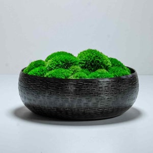 Moss Bowl | Preserved Decorative Table Centrepiece | Californian Moss Art Decor