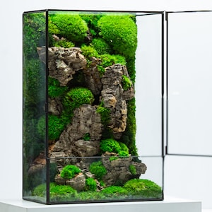 Moss Box Terrarium | A Ready-Assembled Geometric Green Centrepiece with Preserved Moss Art Decor