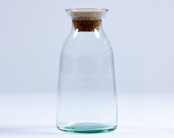 Glass Jar For Terrariums 19cm | Terrarium Containers and Vessels