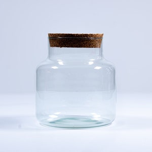 Glass Terrarium Container 20cm | Stout Closed Terrarium Vessel With Cork Lid