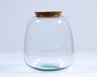 Glass Terrarium Container 20cm | Closed Terrarium Jar With Lid