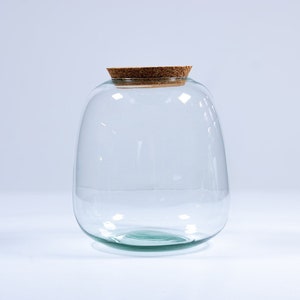 Glass Terrarium Container 20cm | Bulb Closed Terrarium Jar With Lid