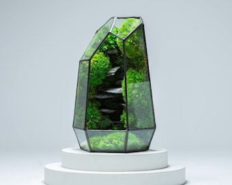 Stone Prism Terrarium | Ready-Made Using Preserved moss with low maintenance