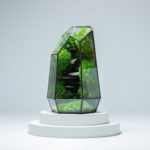 Stone Prism Terrarium | Ready-Made Using Preserved moss with low maintenance