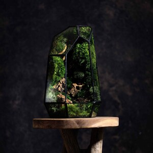 Geometric Terrarium Prism Desktop Mossarium Centrepiece Preserved Moss Art Terrarium Crafts for Adults image 5