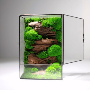 Moss Box Terrarium V2 | A Ready-Assembled Geometric Green Centrepiece with Preserved Moss Art Decor