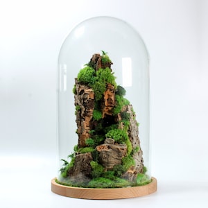 Large Terrarium | Mountain Preserved Cloche Terrarium Centrepiece in Closed Glass Container