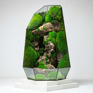 Geometric Terrarium | Prism | Desktop Mossarium Centrepiece | Preserved Moss Art Terrarium | Crafts for Adults