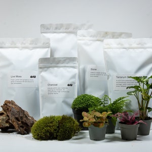 Terrarium Substrate Kit Pack | LECA, Charcoal and Soil | Upgrade for Plants, Stone and Moss | DIY Terrarium Kits