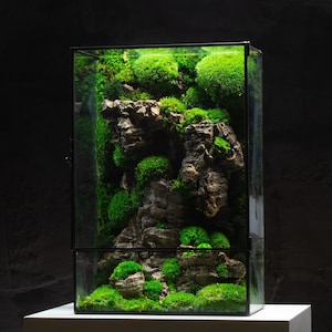 Moss Box Terrarium | A Ready-Assembled Geometric Green Centrepiece with Preserved Moss Art Decor