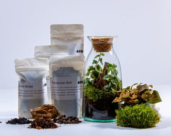 Terrarium Kit - Bottle Jar | Simple DIY Craft Kit | Glass and Live Plants