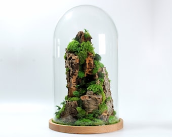 Bergterrarium | Klok | Middenstuk Geconserveerd Glazen Mossarium
