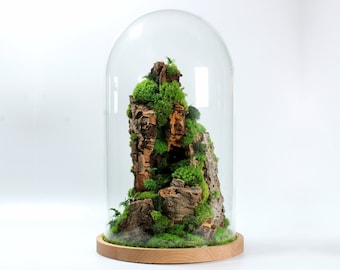 Großes Terrarium | Berg konserviertes Cloche Terrarium Herzstück im geschlossenen Glasbehälter