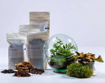 Terrarium Kit - Mini Orb | Beginners Mossarium Kit | Glass and Live Plants