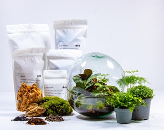 DIY Terrarium Kit - Orb | Living Ecosystem Kit | Glass container with lid included