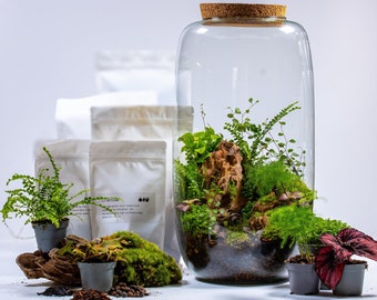 XL DIY Terrarium Kit - Tall | Ecosphere Jarrarium Kit | Make Your Own Terrarium